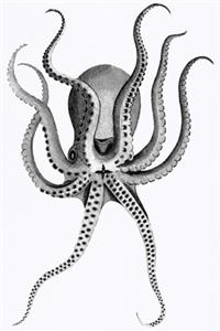 Notizbuch für Kreative