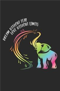 Dream Without Fear Love Without Limits