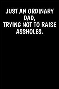 Just An Ordinary Dad, Trying Not To Raise Assholes.