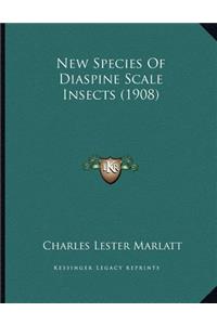 New Species Of Diaspine Scale Insects (1908)