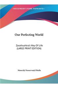Our Perfecting World
