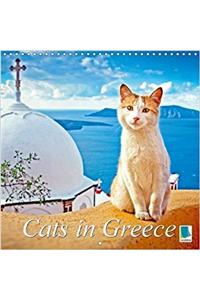 Cats in Greece 2018