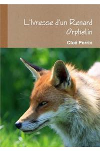 L'Ivresse D'un Renard Orphelin