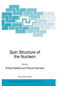 Spin Structure of the Nucleon