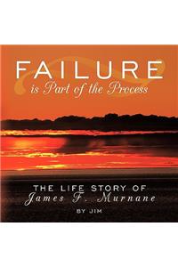 Failure is Part of the Process