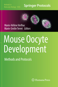 Mouse Oocyte Development