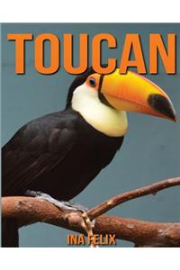 Toucan