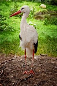 Stork Bird Journal
