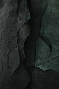 Hide and Skinned Journal
