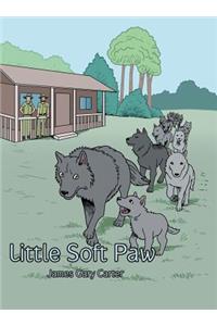 Little Soft Paw