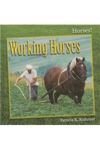 Working Horses