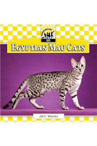 Egyptian Mau Cats