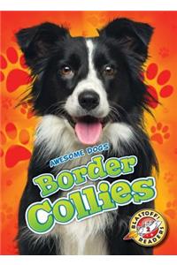 Border Collies