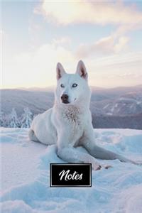 Siberian Husky Huskies Dog Pup Puppy Doggie Notebook Bullet Journal Diary Composition Book Notepad - Lying in Snow