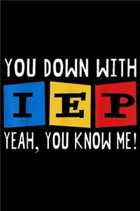 You Down With IEP Yeah, You Know Me!: You Down With IEP Yeah You Know Me Journal/Notebook Blank Lined Ruled 6x9 100 Pages