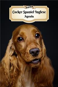 2020 Cocker Spaniel Inglese Agenda