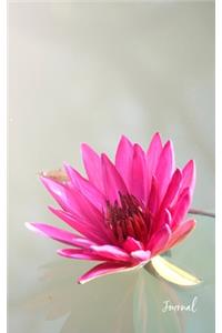 Lotus Flower Journal