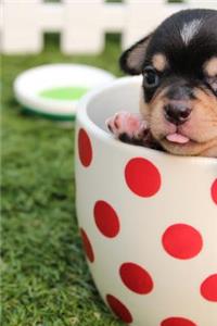 Cute Chihuahua Puppy Dog in a Polka Dot Cup Journal