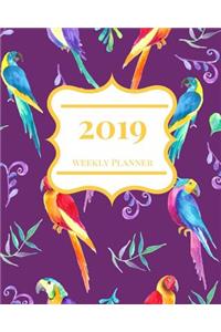 2019: A 2019 Abstract Themed 53 Week Journal Planner Notebook.