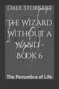 Wizard Without a Wand - Book 6