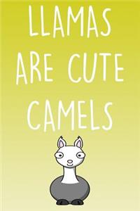 Llamas Are Cute Camels