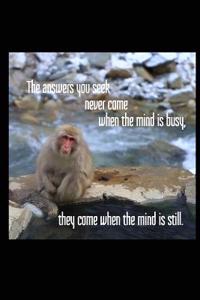 The Answers You Seek Never Come When the Mind Is Busy, They Come When the Mind Is Still