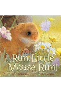 Run, Little Mouse, Run!