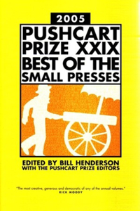 Pushcart Prize XXIX