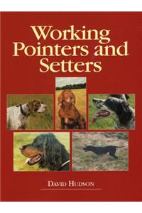 Working Pointers and Setters