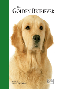 Golden Retriever (best of Breed)