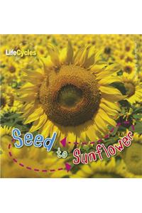 Seed to Sunflower