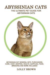 Abyssinian Cats