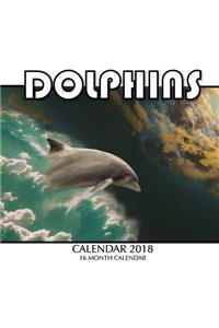 Dolphins Calendar 2018