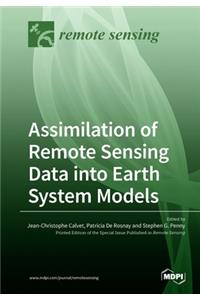 Assimilation of Remote Sensing Data into Earth System Models