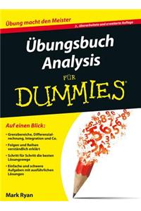 UEbungsbuch Analysis fur Dummies