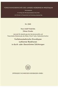 Verfahrenstechnische Grundtypen Isothermer Reaktionen in Durch- Oder Überströmten Schüttungen