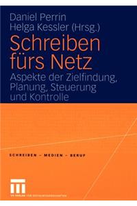 Schreiben Fürs Netz: Aspeke Der Zielfindung, Planung, Steuerung Und Kontrolle