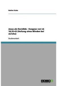 Jesus als Davidide - Exegese von Lk 18,35-43 (Heilung eines Blinden bei Jericho)