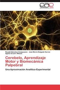 Cerebelo, Aprendizaje Motor y Biomecánica Palpebral
