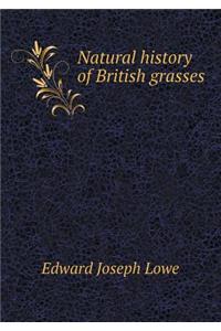 Natural History of British Grasses