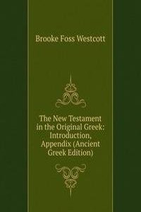 New Testament in the Original Greek