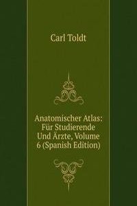 Anatomischer Atlas: Fur Studierende Und Arzte, Volume 6 (Spanish Edition)