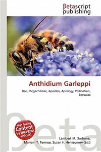 Anthidium Garleppi
