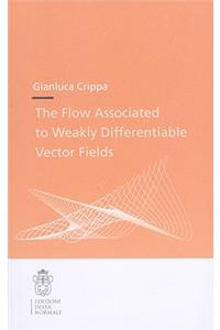 Flow Associated to Weakly Differentiable Vector Fields