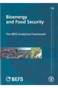 Bioenergy and Food Security