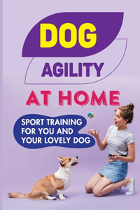 Dog Agility At Home