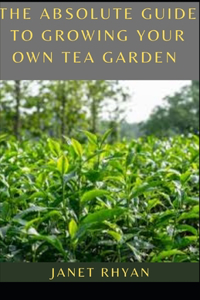 Absolute Guide To Growing Your Own Tea Garden