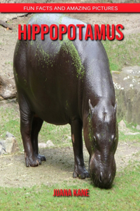 Hippopotamus