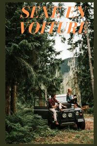 Sexe en voiture (vol 7)