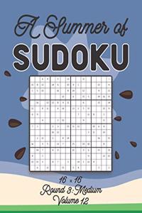 Summer of Sudoku 16 x 16 Round 3